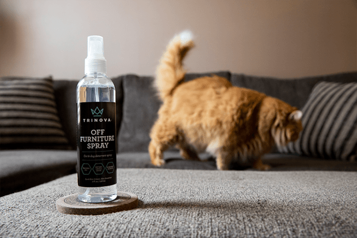 12/8 OZ. TRIN OFF FURNITURE SPRAY - PET - Image 7