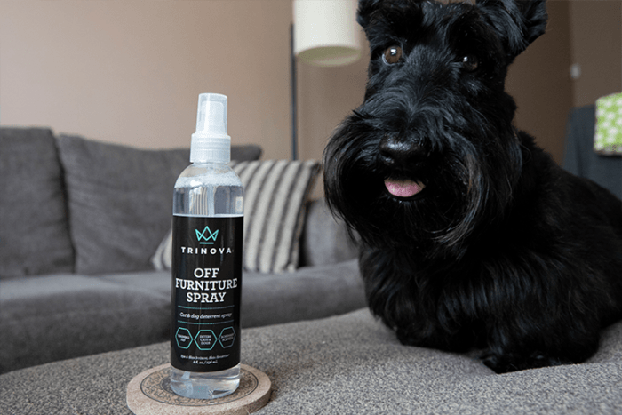 12/8 OZ. TRIN OFF FURNITURE SPRAY - PET - Image 8