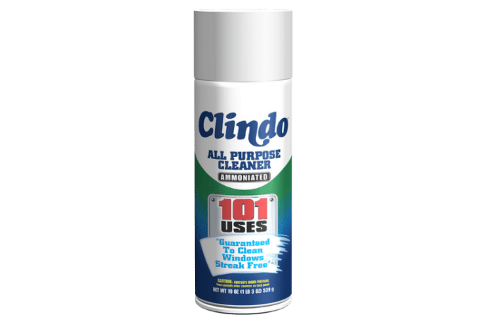 12/19OZ CLINDO CLEAN MAGIC - Image 1