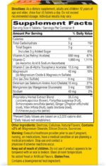 21st Century ImmuBlast Chewable Tablets, Citrus 32 Count - Image 6