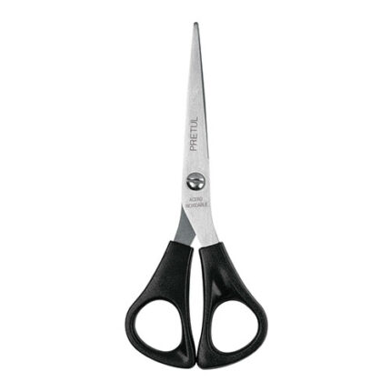6" Stationary Scissors Pretul