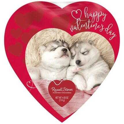 Russell Stover, Chocolate Fine Valentine Box Assorted, Case Of 12, 4.03 Oz
