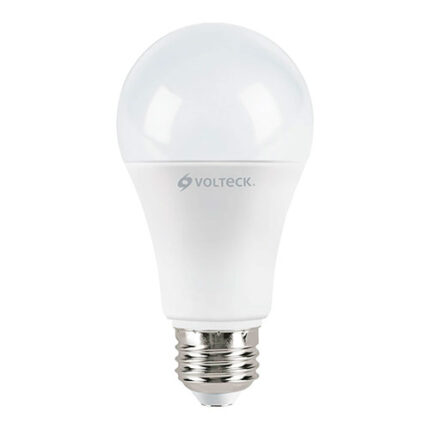 14 W, A19, Daylight Led Bulb