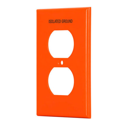 *** Duplex Outlet And 1-Gang Duplex Wallplate                         Special Order Item (Extended Lead Time 35-50 Days)