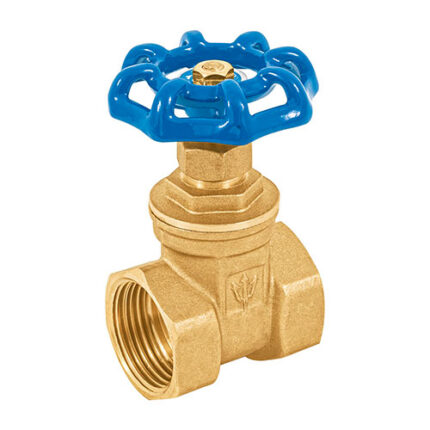 1" Threaded Brass Gate Valve