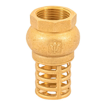 3/4" Check Valves, Brass Basket
