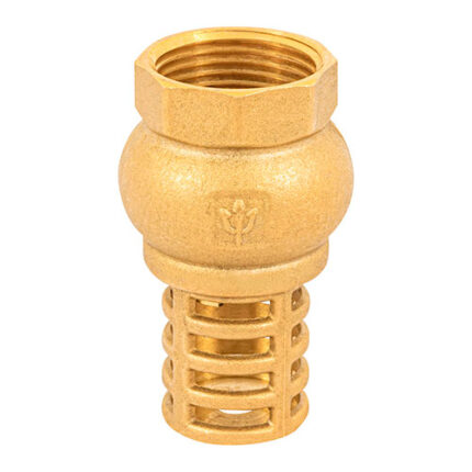 1" Check Valves, Brass Basket