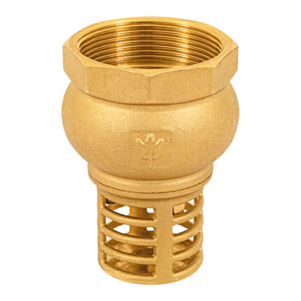 2" Check Valves, Brass Basket