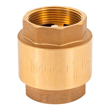 Spring Check Valves-1-1/2'