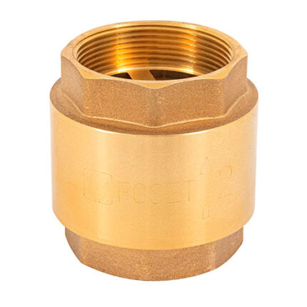 Spring Check Valves- 2'