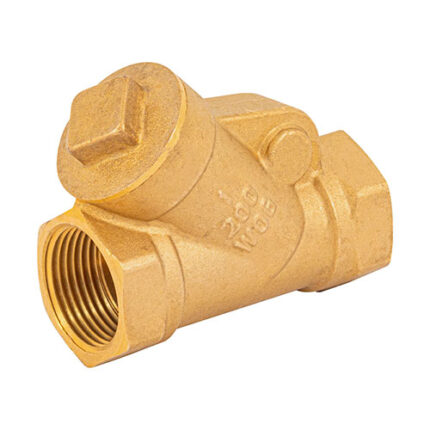 *** Swing Check Valves-1'                         Special Order Item (Extended Lead Time 35-50 Days)