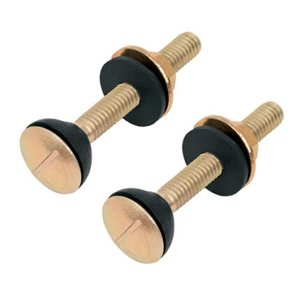 Toilet Screws And Bolts 2 Piece