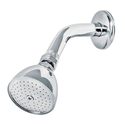 *** Showerhead With Shower Arm And Flange                         Special Order Item (Extended Lead Time 35-50 Days)