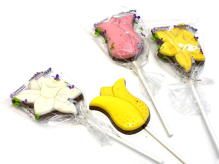 Rm Palmer, Double Crisp Chocolaty Flower Pops, Case Of 18, 2.75 Oz - Image 1