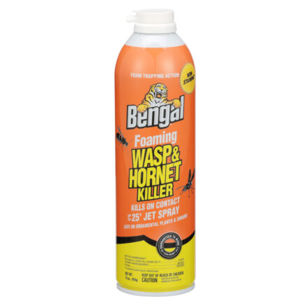 Bengal Products, Foaming Wasp & Hornet Killer, Case Of 12, 16 Fl Oz