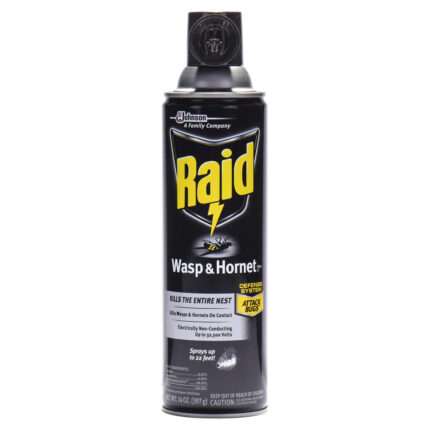 Raid, Wasp & Hornet Killer 33, Case Of 12, 14 Oz