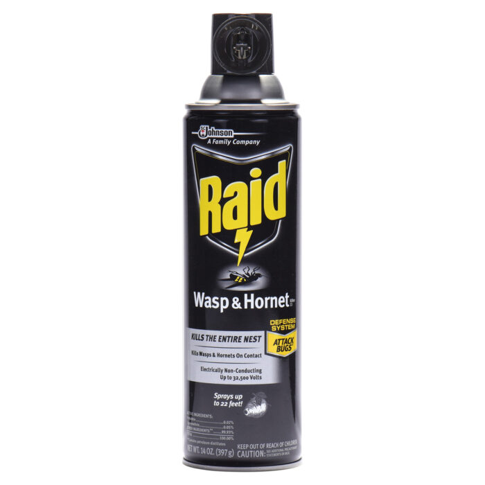 Raid, Wasp & Hornet Killer 33, Case Of 12, 14 Oz - Image 1