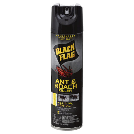 Blackflag, Ant And Roach Killer Aerosol Spray Unscented, Case Of 12, 17.5 Oz