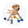 DogToysCategoryRound